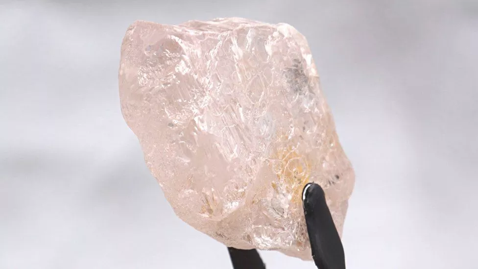 Photo of forceps holding a large pink diamond