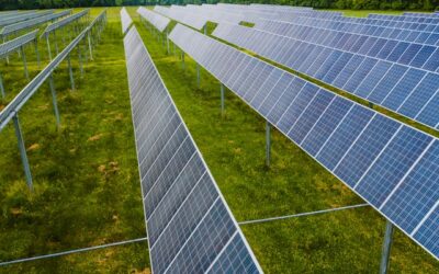 Africa’s Just Energy Transition: Rapid Fossil Fuel Exit or Gradual Shift?