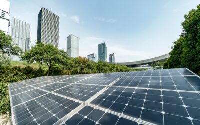Humans Harmonising with Nature: The Rise of Artificial Power Plants