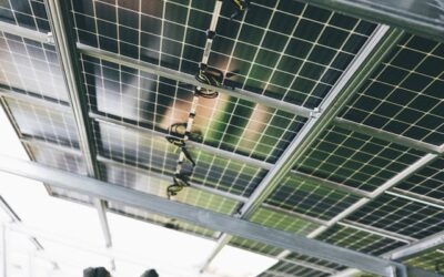 International investment Opportunities: Solar Renewable Energy in South Africa