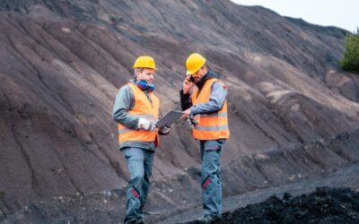 Uncovering the Realities of Expatriate Work Life through Project TELL