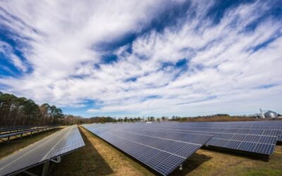 3 Groundbreaking Ways Solar Energy is Reshaping Agriculture Around the World