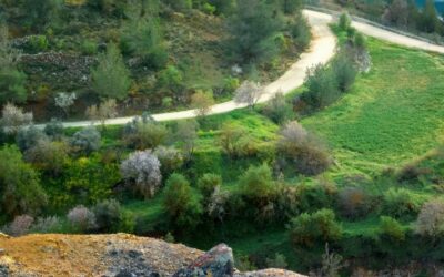 Mining Companies That Have a Positive Impact on The Environment