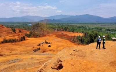 Harnessing Africa’s Critical Minerals for Sustainable Growth