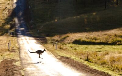 Why Africa is the Next Frontier for Australian Mining Companies: Opportunities, Challenges & Talent Solutions
