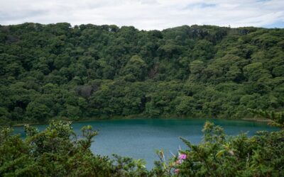 Natural Capital for Mining Companies in Africa